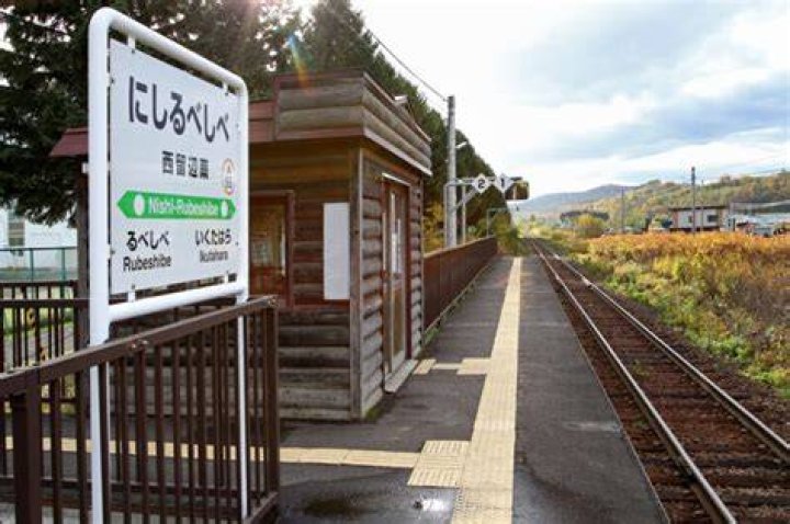 木へんに西の読み方は？漢字の意味・由来・覚え方を解説